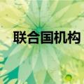 联合国机构：以军撤离令已影响约25万人