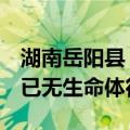 湖南岳阳县：毛田镇防汛失联干部已被找到，已无生命体征