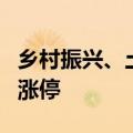 乡村振兴、土地流转概念继续走高，东方集团涨停
