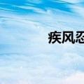 疾风忍法帖7.0（疾风忍法帖）