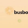 busboy的深层含义（busboy）