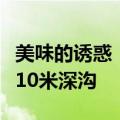 美味的诱惑！郑州一男子深夜抓知了不慎跌入10米深沟