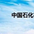 中国石化在北部湾盆地获高产油气井