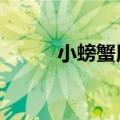 小螃蟹用jio抠出一室一厅后封顶