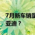7月新车销量榜单公布！特斯拉竟然超越了比亚迪？