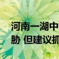河南一湖中惊现多条小鳄鱼 专家：不构成威胁 但建议抓捕