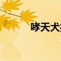 哮天犬扮演者陈创否认接受打赏
