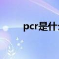 pcr是什么意思中文（pcre是什么）