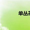 单丛茶有几种香型（单丛茶）