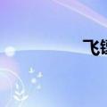 飞镖盘怎么玩（飞镖盘）