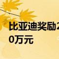 比亚迪奖励21位线索提供人：初步奖励最高30万元