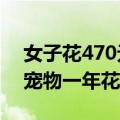 女子花470元给一条鱼看病引热议 中国每只宠物一年花6000元