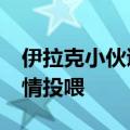 伊拉克小伙逛义乌夜市&#32;全程被热情投喂