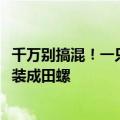 千万别搞混！一只福寿螺可含6000条寄生虫：有商家将其伪装成田螺
