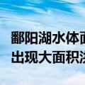鄱阳湖水体面积迅速增大，卫星显示江西多地出现大面积洪涝