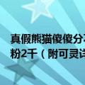 真假熊猫傻傻分不清？他用可灵生成熊猫吃泡面视频一周涨粉2千（附可灵详细制作教程）