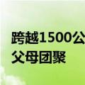 跨越1500公里&#32;送留守小候鸟们与父母团聚