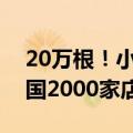 20万根！小米之家免费送雪糕活动来了：全国2000家店有份