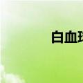 白血球王第几集（白血球王）