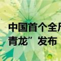 中国首个全尺寸开源通用人形机器人公版机“青龙”发布