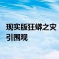 现实版狂蟒之灾！一个月内第二起 印尼女子被巨蟒吞下身亡引围观