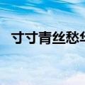 寸寸青丝愁华年什么歌（寸寸青丝愁华年）