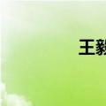 王毅会见印度外长苏杰生