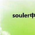 souler中文翻译（souler什么意思）