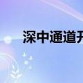 深中通道开通72小时 通车超30万车次