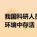 我国科研人员发现一种沙漠苔藓，或可在火星环境中存活