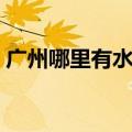 广州哪里有水稻田（广州水稻田摄影工作室）