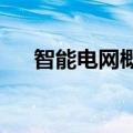 智能电网概念延续调整，三晖电气跌停