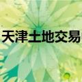 天津土地交易中心 杨志（天津土地交易中心）