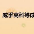 威孚高科等成立新公司 含集成电路设计业务