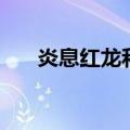 炎息红龙和冰息蓝龙外观（炎息红龙）