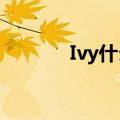 Ivy什么意思?（ivy什么意思）