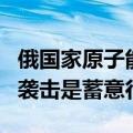 俄国家原子能公司：乌军对扎波罗热核电站的袭击是蓄意行动