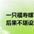 一只福寿螺可含6000条寄生虫：未煮熟食用后果不堪设想