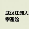 武汉江滩大蛇爬上监控杆 专家：洪水迫使高攀避险