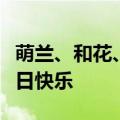 萌兰、和花、和叶今天生日，大熊猫三兄妹生日快乐