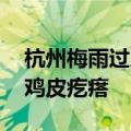 杭州梅雨过后街头树上挂满虫子 网友：直起鸡皮疙瘩