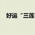 好运“三莲”！浙江武义出现罕见三蒂莲