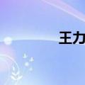王力宏岁数（王力宏几岁）