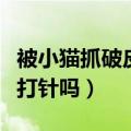 被小猫抓破皮了要打疫苗吗（被小猫抓破皮要打针吗）