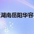 湖南岳阳华容县一处洞庭湖大堤发生溃口险情