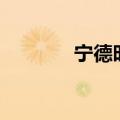 宁德时代高开高走，涨逾1%