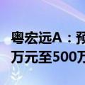 粤宏远A：预计2024年上半年净利润亏损900万元至500万元