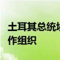土耳其总统埃尔多安：土耳其希望加入上海合作组织