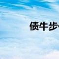 债牛步伐放慢，波动风险或增加