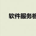 软件服务板块走强，多只个股20%涨停
